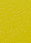 color_03_03