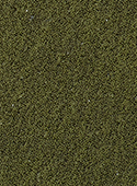color_05_05
