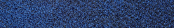 color_05_08